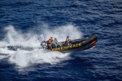 greenpeace