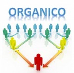 Organici 2018-2019, l&acute;informativa del Miur